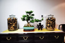 五糧液【限時(shí)特價(jià)】第七代普五 2019年 濃香型白酒 52度 425ml*6瓶 整箱裝 陳年老酒 【名酒鑒真】 中秋送禮 曬單實(shí)拍圖