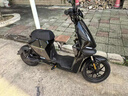小牛電動(dòng)廣州專(zhuān)享】F200動(dòng)力版 電動(dòng)自行車(chē)鋰電池 新國標智能鋰電長(cháng)續航代步電動(dòng)車(chē) 到店自提 曬單實(shí)拍圖