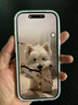 Apple/蘋(píng)果 iPhone 17 Pro 256GB 銀色 支持移動(dòng)聯(lián)通電信5G 雙卡雙待手機 曬單實(shí)拍圖