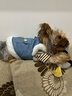 嬉皮狗（hipidog）狗狗衣服新年春節加絨保暖可牽引馬甲中小型犬比熊寵物貓咪喜慶服 牛仔藍色 XS（建議體重1-3斤） 曬單實(shí)拍圖