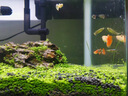 魚(yú)呼吸魚(yú)缸增氧泵養魚(yú)加氧氣泵 安靜充氧機充電攜帶便攜式戶(hù)外釣魚(yú) 氧氣管2米 曬單實(shí)拍圖