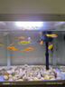 技研精工（JIYJNJINGGONG）魚(yú)缸客廳小型家用帶增氧桌面超白玻璃過(guò)濾免換水生態(tài)懶人魚(yú)缸320 曬單實(shí)拍圖
