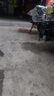 鉑耐胎壓計氣壓表電子數顯加氣充打氣胎壓表手持高精度汽車(chē)輪胎檢測器 XA-1胎壓表 曬單實(shí)拍圖