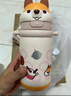 babycare兒童保溫杯嬰兒小松鼠寶寶1-3歲不銹鋼吸管水杯壺學(xué)生上學(xué)450ml 曬單實(shí)拍圖