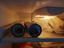 kronenbourg 1664小麥風(fēng)味啤酒雙口味組合裝310ml*6罐（白啤*3+桃紅啤*3）熱門(mén)商品 曬單實(shí)拍圖