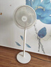 美的（Midea）電風(fēng)扇 家用七葉立式落地扇宿舍臥室輕音節能搖頭桌面小風(fēng)扇大風(fēng)力空氣循環(huán)風(fēng)扇 SAF30AC  曬單實(shí)拍圖