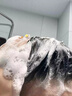 ZHENMI新加坡進(jìn)口洗發(fā)水防脫育發(fā)生姜固發(fā)去屑防掉斷發(fā)控油金榜第1名 曬單實(shí)拍圖