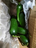 荷蘭水果黃瓜保鮮保脆爽口小黃瓜整箱新鮮現發(fā)即食減肥小水果零食 壽光田柳小黃瓜 1斤 曬單實(shí)拍圖