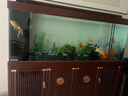 江彩魚(yú)缸客廳2025新款中大型底濾新中式超白辦公室龍魚(yú)缸水族箱 長(cháng)180x寬60x缸75x總高166cm 曬單實(shí)拍圖