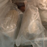 十月稻田 黃糯玉米 3.52斤(220g*8根) 25年新玉米 低脂粗糧 早餐 聯(lián)名款 曬單實(shí)拍圖