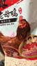 溫氏供港老母雞2.4斤 散養富硒老母雞 冷凍 走地雞500天月子雞湯 曬單實(shí)拍圖