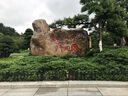 OBOSH歐博士雨刮器別克君威/君威GS（17-23款 無(wú)骨膠條靜音雨刷片24/20 曬單實(shí)拍圖
