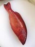 軒農谷鮮活海捕東星斑深海石斑魚(yú)新鮮冷凍海鮮水產(chǎn)冰鮮海魚(yú)紅星石斑魚(yú)深海野捕6-8兩/條 曬單實(shí)拍圖