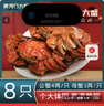 黃河口（HHK）【活蟹】黃河口大閘蟹禮盒4兩公3兩母源頭直達死蟹包賠可發(fā)全母 8只 曬單實(shí)拍圖