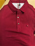 皮爾卡丹【100%純棉】男士長(cháng)袖t恤2025新款春秋翻領(lǐng)polo保羅衫中年裝 棗紅 XL 52碼 175推薦145-160斤 曬單實(shí)拍圖