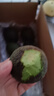 正宗進(jìn)口秘魯哈斯牛油果孕婦水果寶寶輔食進(jìn)口鱷梨整箱批發(fā)價(jià) 8個(gè)裝 單果重100-130克 曬單實(shí)拍圖