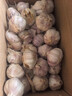 精選新鮮山東大蒜干蒜多瓣蒜頭蔬菜批發(fā)產(chǎn)地直發(fā)大蒜頭 優(yōu)選 5斤 (果徑≥3.5cm) 曬單實(shí)拍圖