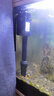 佳寶（JEBO）魚(yú)缸三合一水泵過(guò)濾泵帶增氧水族箱魚(yú)缸內置抽水潛水泵吸便過(guò)濾泵 佳寶AP362全套9-10W 曬單實(shí)拍圖