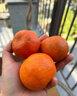 萬(wàn)州古紅桔 川紅橘小柑新鮮陳皮孕婦水果大紅袍 正宗重慶老樹(shù)柑子 帶箱精選3斤 曬單實(shí)拍圖