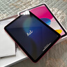 Apple/蘋(píng)果 iPad11英寸 A16芯片2025年款 平板電腦 (256GB WLAN版/學(xué)習辦公娛樂(lè ))粉色 曬單實(shí)拍圖