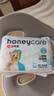 HONEYCARE好命家 狗狗紙尿褲公狗尿不濕尿片安全褲XS適用體重2.5-4kg/12片 曬單實(shí)拍圖