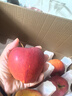 京鮮生云南昭通冰糖心紅露蘋(píng)果5斤裝 單果80mm起 新鮮水果源頭直發(fā)包郵  曬單實(shí)拍圖