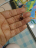 明牌珠寶18K金吊墜彩金玫瑰金愛(ài)心紅玉髓項墜掛件女PGB00668定價(jià) 愛(ài)心單吊墜 金重約0.30-0.32克 曬單實(shí)拍圖
