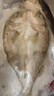 鮮京采三去海鱸魚(yú)3斤/3條 生鮮魚(yú)類(lèi) 白蕉鱸魚(yú)地標 中秋家宴魚(yú)類(lèi)源頭直發(fā) 曬單實(shí)拍圖