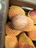 京鮮生 陜西洛川紅富士蘋(píng)果 凈重10斤 單果200g 生鮮水果 曬單實(shí)拍圖