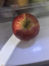 京覓四川大涼山丑蘋(píng)果 凈4.5斤 單果70mm+新鮮水果冰糖心蘋(píng)果源頭直發(fā) 曬單實(shí)拍圖