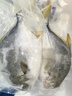 翔泰 海南金鯧魚(yú)凈重900g 2條裝  魚(yú)類(lèi)生鮮 火鍋食材 海鮮水產(chǎn) 中秋 曬單實(shí)拍圖