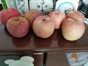 正宗煙臺蘋(píng)果棲霞紅富士脆甜新鮮水果整箱生鮮蘋(píng)果水果 凈重4.5斤80mm 曬單實(shí)拍圖