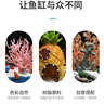 阿拖（ATUO）海綿寶寶珊瑚造景躲避屋卡通公仔菠蘿屋魚(yú)缸小擺件水族箱裝飾全套 曬單實(shí)拍圖