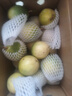 京鮮生欽蜜9號黃金百香果 3斤單果60g+/21-27個(gè)  生鮮水果 源頭直發(fā) 曬單實(shí)拍圖