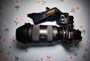 尼康（Nikon）【國家補貼】Z7II/Z72/z7二代 專(zhuān)業(yè)級全畫(huà)幅數碼微單相機無(wú)反相機尼康z72 尼康Z 7II單機/全新未開(kāi)封原廠(chǎng)原包裝單機 標配【送膜+相機包+灃標電池+清潔套+曬單送腳架】 曬單實(shí)拍圖