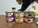 NULO自由天性貓罐頭主食濕糧全價(jià)高蛋白低敏易消化成貓幼貓糧 混合口味|79g*6  26年10月 曬單實(shí)拍圖