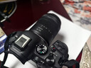 佳能（Canon） EOS R6二代全畫(huà)幅高端專(zhuān)業(yè)微單數碼照相機視頻直播高清相機 R6二代RF24-105 IS STM套裝 官方標配（贈三期免息） 曬單實(shí)拍圖