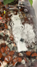 森森 小鯉魚(yú)缸過(guò)濾器凈水循環(huán)三合一內置水族箱過(guò)濾系統XQP-500F 6W 曬單實(shí)拍圖