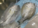 鮮京采三去海鱸魚(yú)3斤/3條 生鮮魚(yú)類(lèi) 白蕉鱸魚(yú)地標 魚(yú)類(lèi)源頭直發(fā) 曬單實(shí)拍圖