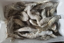 繽鮮 蝦 青島大蝦基圍蝦鮮活青蝦白蝦海蝦對蝦冰蝦凍蝦生鮮 蝦類(lèi)批發(fā) 鹽凍大蝦 3.6斤(凈重)  17-21cm【單只凍 特大蝦王】 曬單實(shí)拍圖