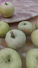 京地達山西青蘋(píng)果 凈重8.5斤單果120g起小蘋(píng)果現摘酸甜脆爽源頭直發(fā)包郵 曬單實(shí)拍圖