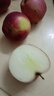 云南昭通蘋果脆甜爽口酸甜適度細(xì)膩無渣現(xiàn)摘現(xiàn)發(fā)昭通蘋果 中果70-79mm 昭通蘋果5斤裝有空格量已足 曬單實(shí)拍圖