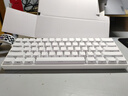 狼蛛（AULA）MINI 60HE磁軸鍵盤(pán)無(wú)線(xiàn)藍牙三模 RT電競游戲客制化機械鍵盤(pán) 網(wǎng)頁(yè)驅動(dòng) 無(wú)畏契約 8K回報率可調死區 PRO白色側刻【煙云磁軸】三模RGB 無(wú)規格 曬單實(shí)拍圖