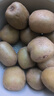 陽(yáng)光金果國產(chǎn)獼猴桃奇異果金桃彌泥猴桃新鮮水果生鮮大果孕婦當季 20枚大果 90-110g 曬單實(shí)拍圖