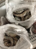 鮮京采 厄瓜多爾白蝦 凈重3斤/盒 特大號20-30規格   30-45只/盒 曬單實(shí)拍圖