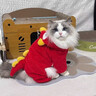 曇蓓漫貓咪衣服新年貓咪過(guò)年衣服寵物狗狗新年衣服新年紅色喜慶加厚保暖 新年紅獅子毛絨保暖衣 S碼【建議3-5斤 具體參考胸圍背長(cháng)】 曬單實(shí)拍圖