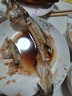 釣魚(yú)記開(kāi)背海鱸魚(yú)1斤-1.3斤 三去凈重 冷凍 生鮮 魚(yú)類(lèi) 海鮮水產(chǎn) 曬單實(shí)拍圖