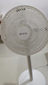 先鋒(SingFun)家用電風(fēng)扇落地扇米白風(fēng)扇節(jié)能宿舍小風(fēng)扇臺地扇空氣循環(huán)扇靜音大風(fēng)量風(fēng)扇DLD-D17 曬單實(shí)拍圖