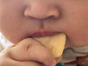 寶寶饞了嬰幼兒核桃餅干寶寶兒童零食無(wú)添加食鹽餅干1-2歲強化鈣營(yíng)養65g 曬單實(shí)拍圖