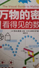 萬(wàn)物的密碼：看得見(jiàn)的數學(xué)（通過(guò)身邊常見(jiàn)的事物，帶孩子認識無(wú)處不在的數學(xué)） 曬單實(shí)拍圖